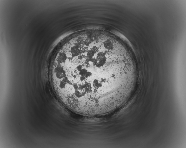 X0000086231019200704191755