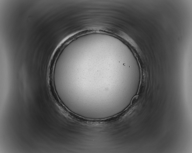 X0000086231020200704191755