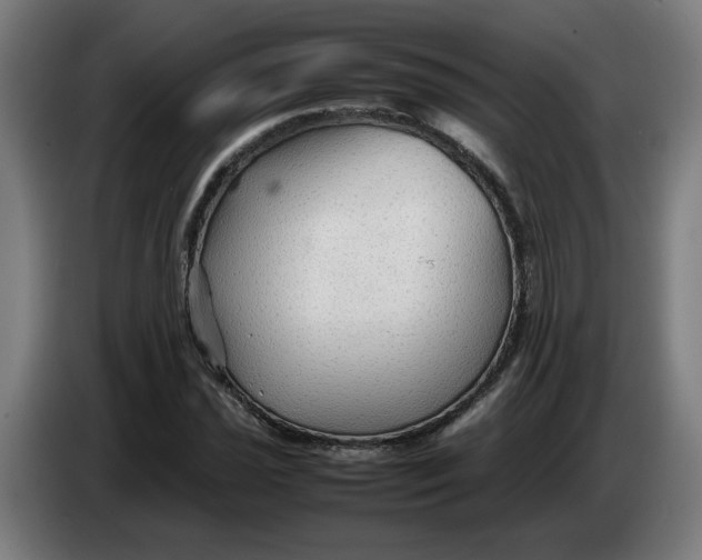 X0000086231021200704191755