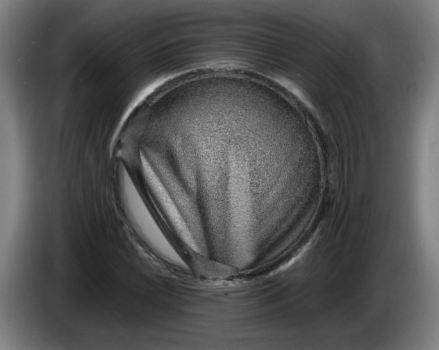 X0000086231022200704191755