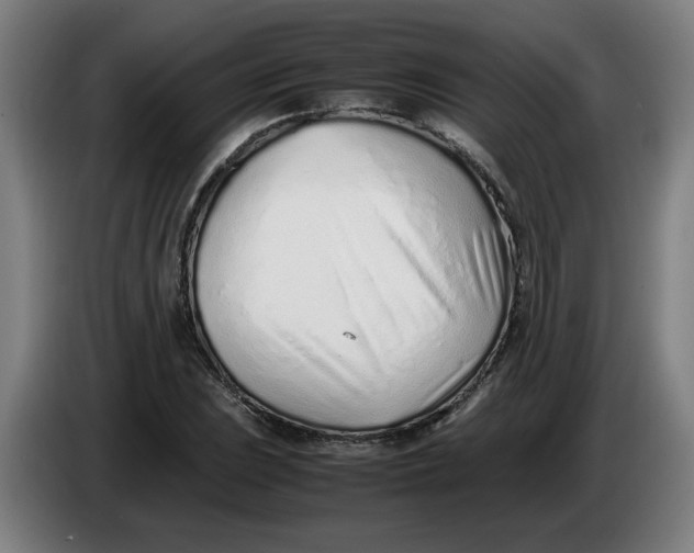 X0000086231023200704191755