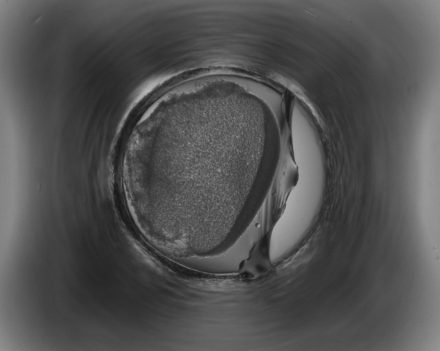 X0000086231024200704191755