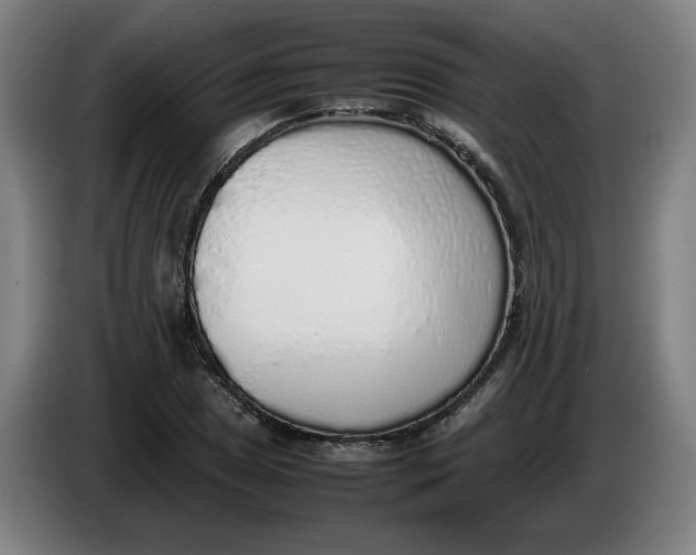 X0000086231025200704191755