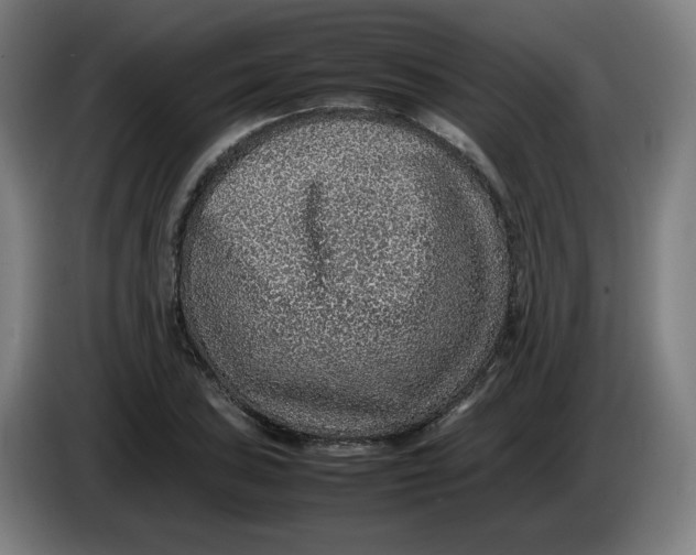 X0000086231027200704191755