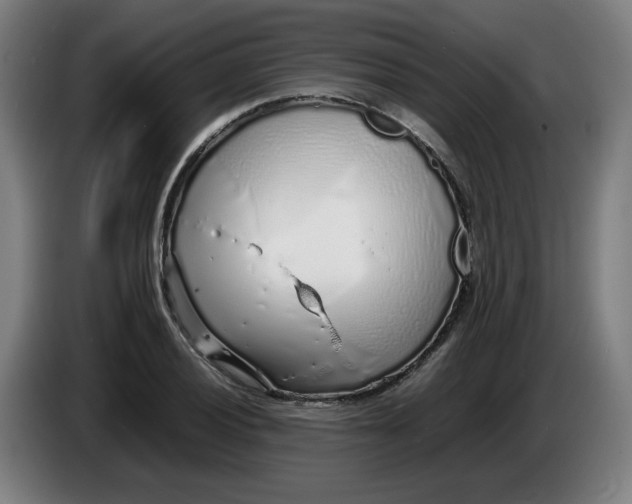 X0000086231028200704191755