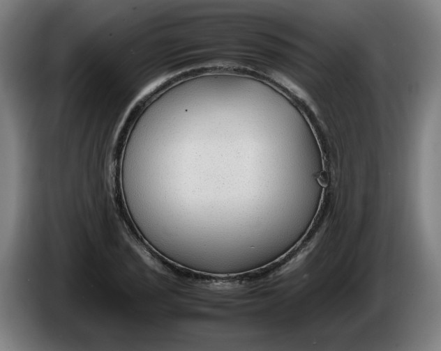 X0000086231029200704191755