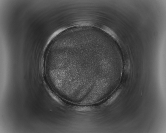 X0000086231030200704191755