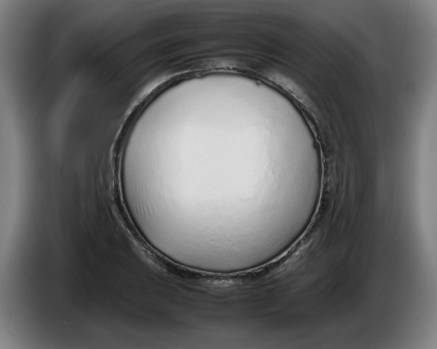 X0000086231031200704191755