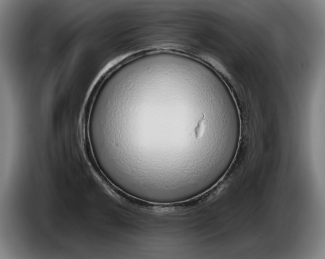 X0000086231032200704191755