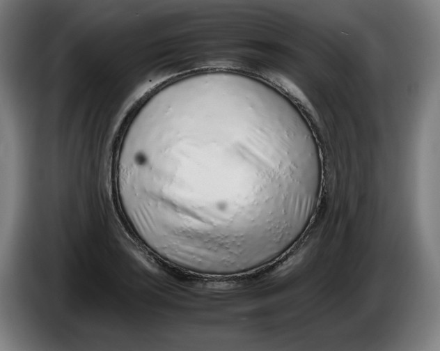 X0000086231035200704191755