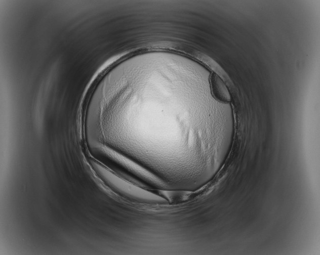 X0000086231036200704191755