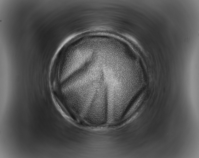 X0000086231038200704191755