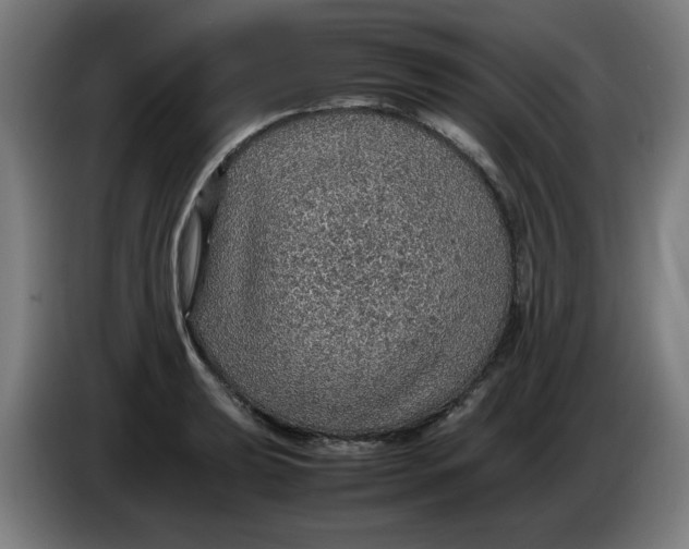 X0000086231039200704191755