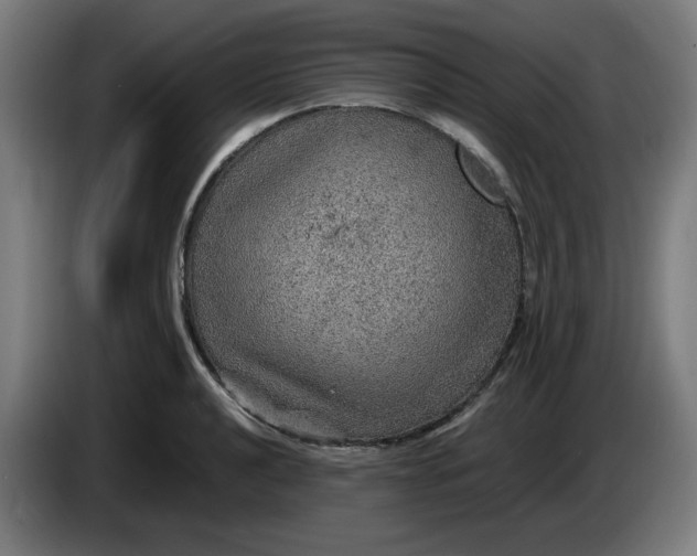 X0000086231040200704191755