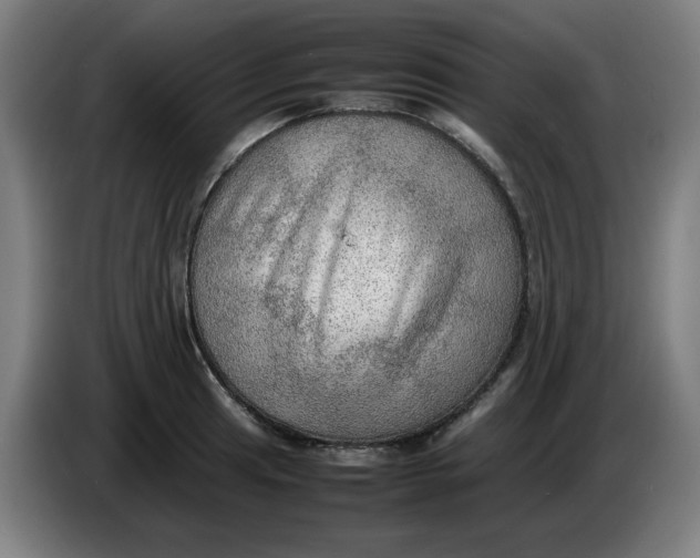 X0000086231041200704191755