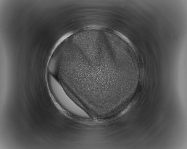 X0000086231042200704191755