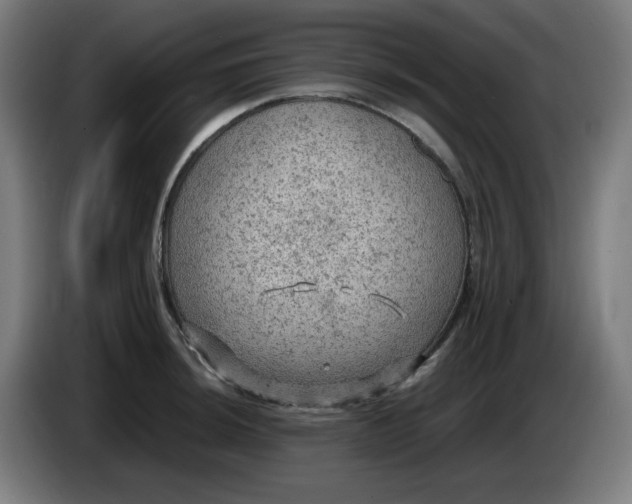 X0000086231044200704191755