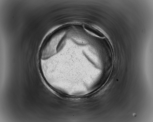 X0000086231045200704191755