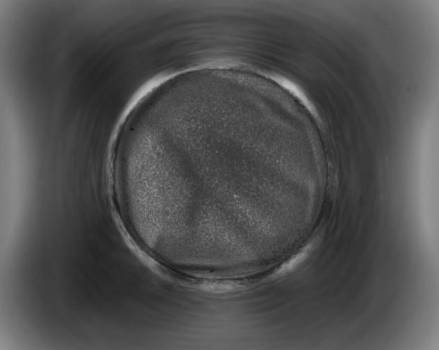 X0000086231046200704191755