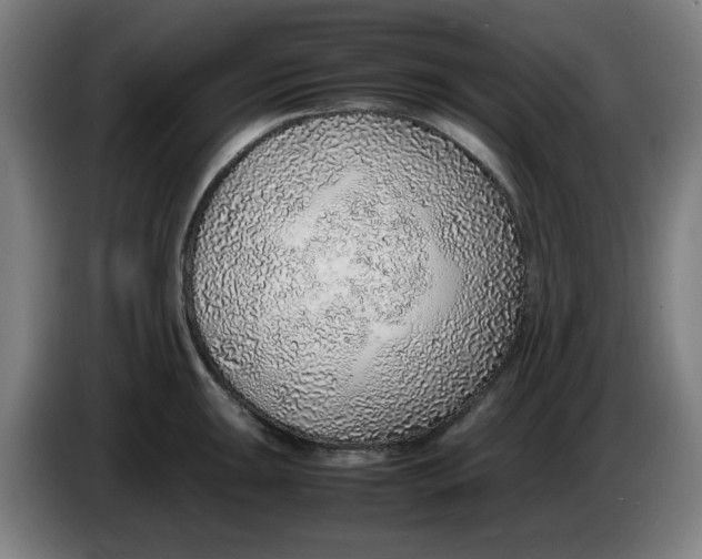 X0000086231047200704191755