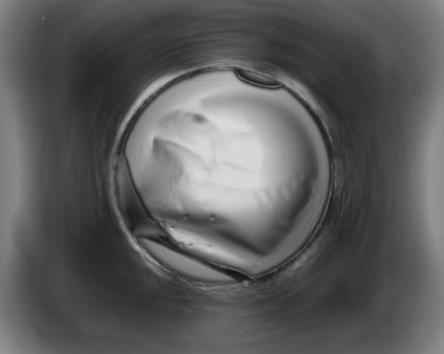 X0000086231048200704191755