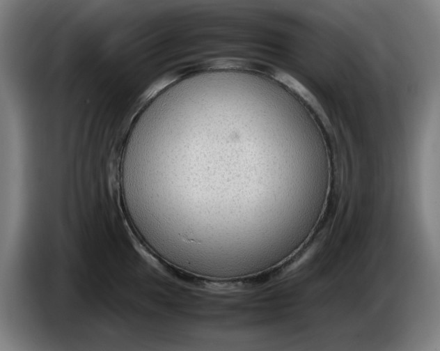 X0000086231049200704191755