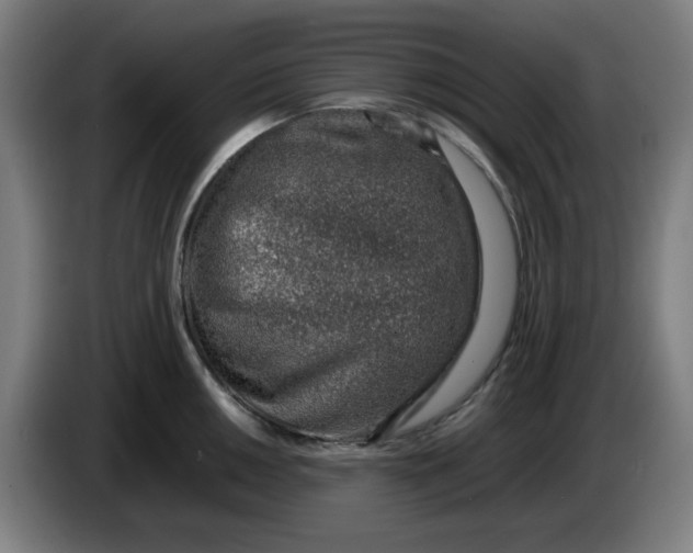 X0000086231050200704191755