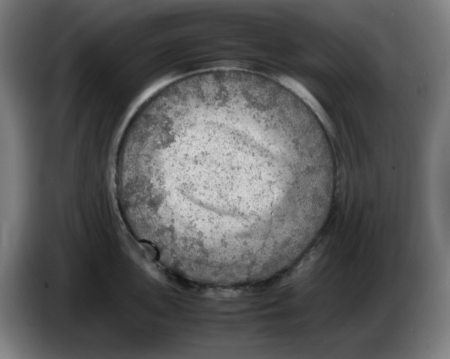 X0000086231051200704191755