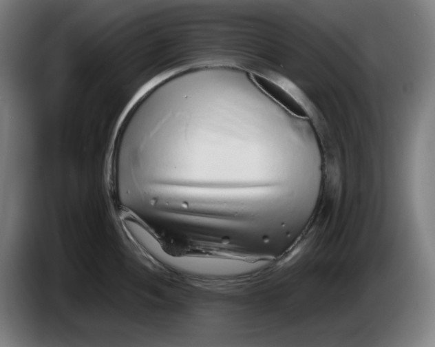 X0000086231052200704191755