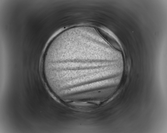 X0000086231053200704191755