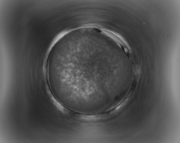 X0000086231054200704191755