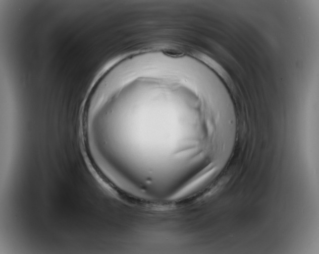 X0000086231055200704191755