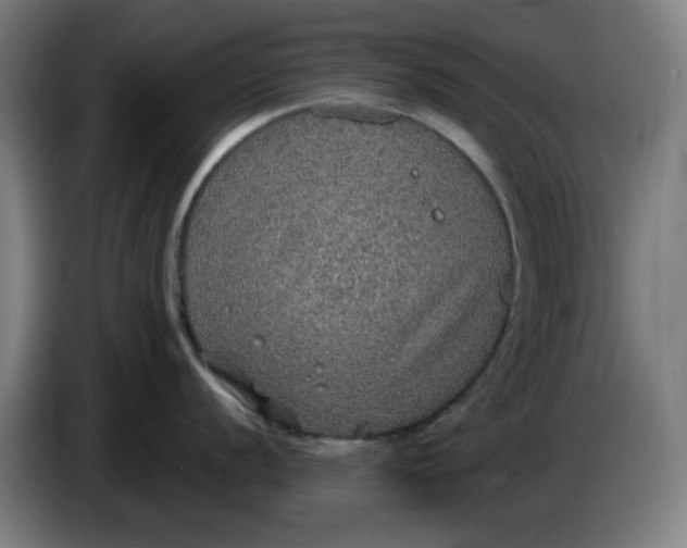 X0000086231056200704191755