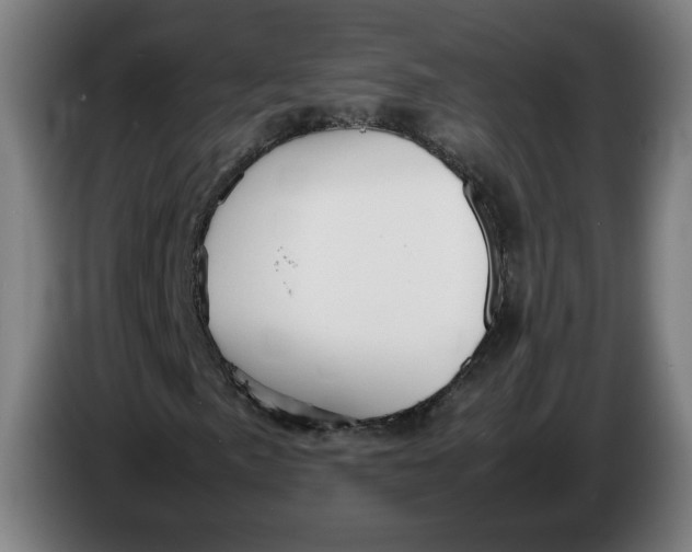 X0000086231057200704191755