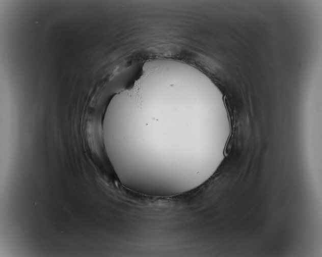 X0000086231058200704191755