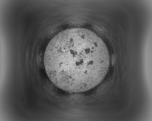 X0000086231059200704191755