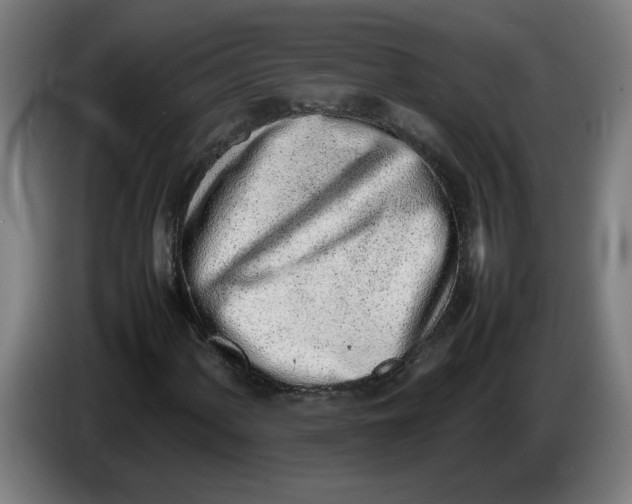 X0000086231060200704191755