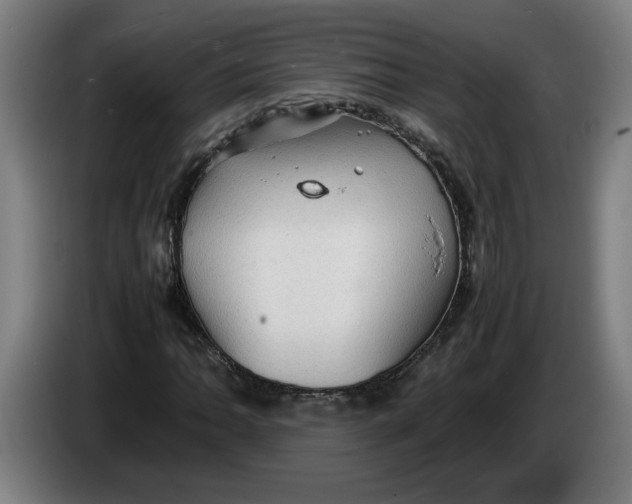 X0000086231062200704191755