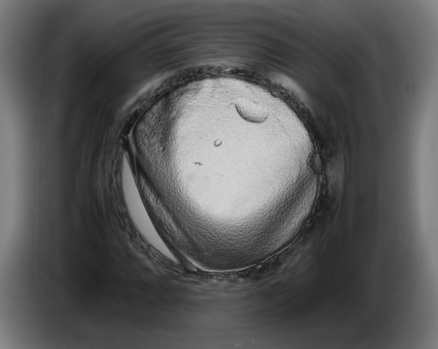 X0000086231064200704191755