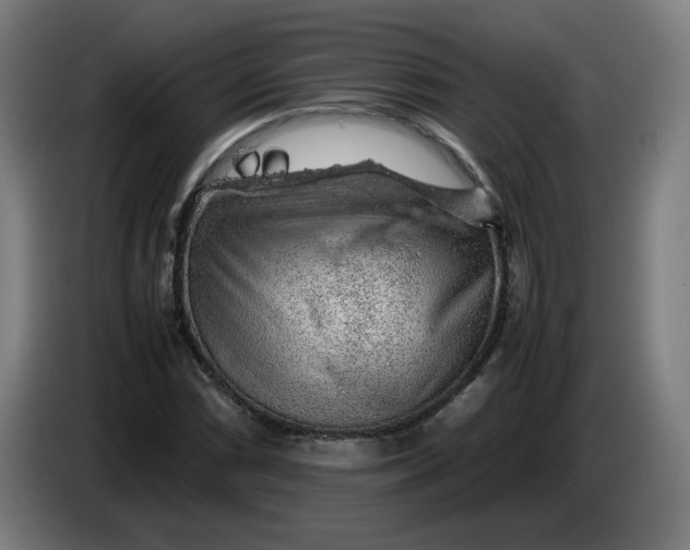 X0000086231066200704191755