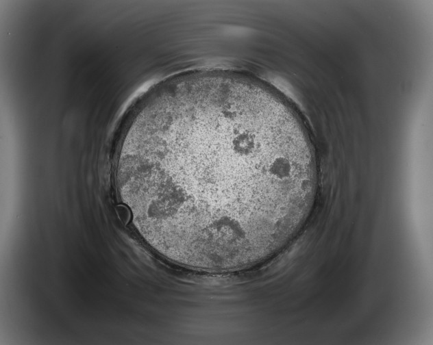 X0000086231067200704191755