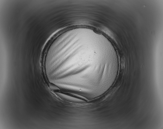 X0000086231068200704191755