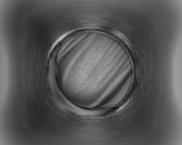 X0000086231069200704191755