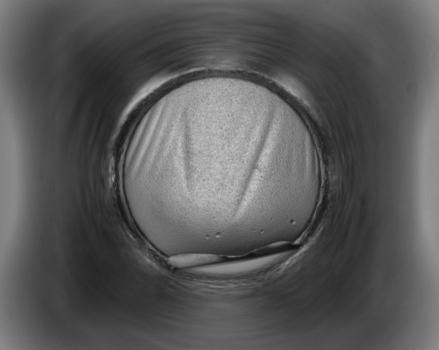 X0000086231070200704191755