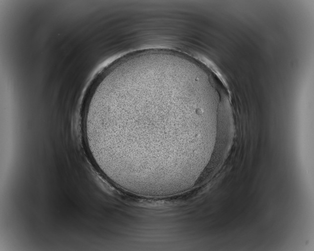 X0000086231072200704191755