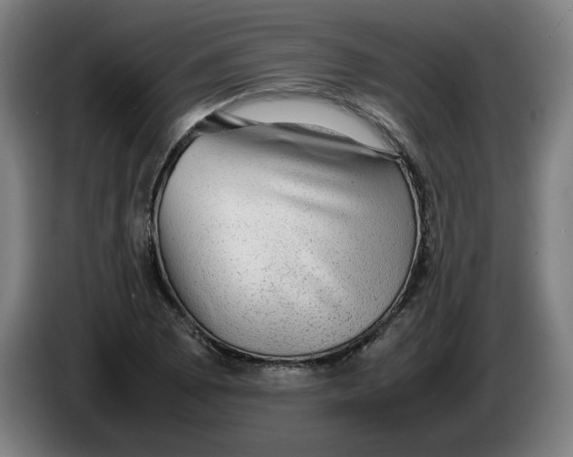 X0000086231073200704191755