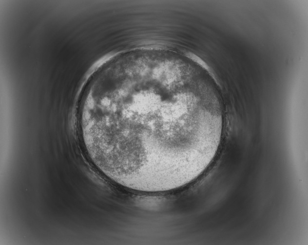 X0000086231074200704191755