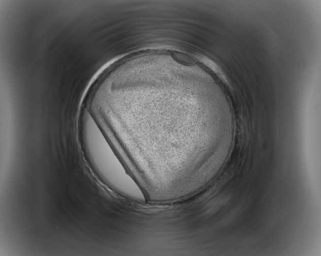 X0000086231076200704191755