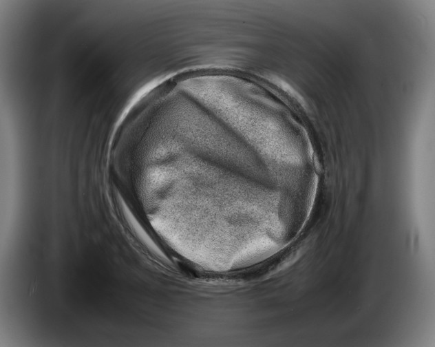 X0000086231077200704191755