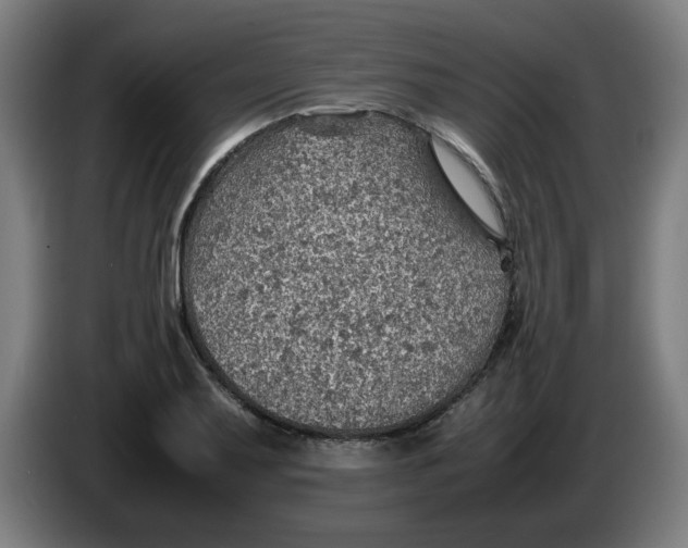 X0000086231079200704191755